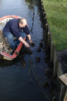 Het planten van de waterplanten.
